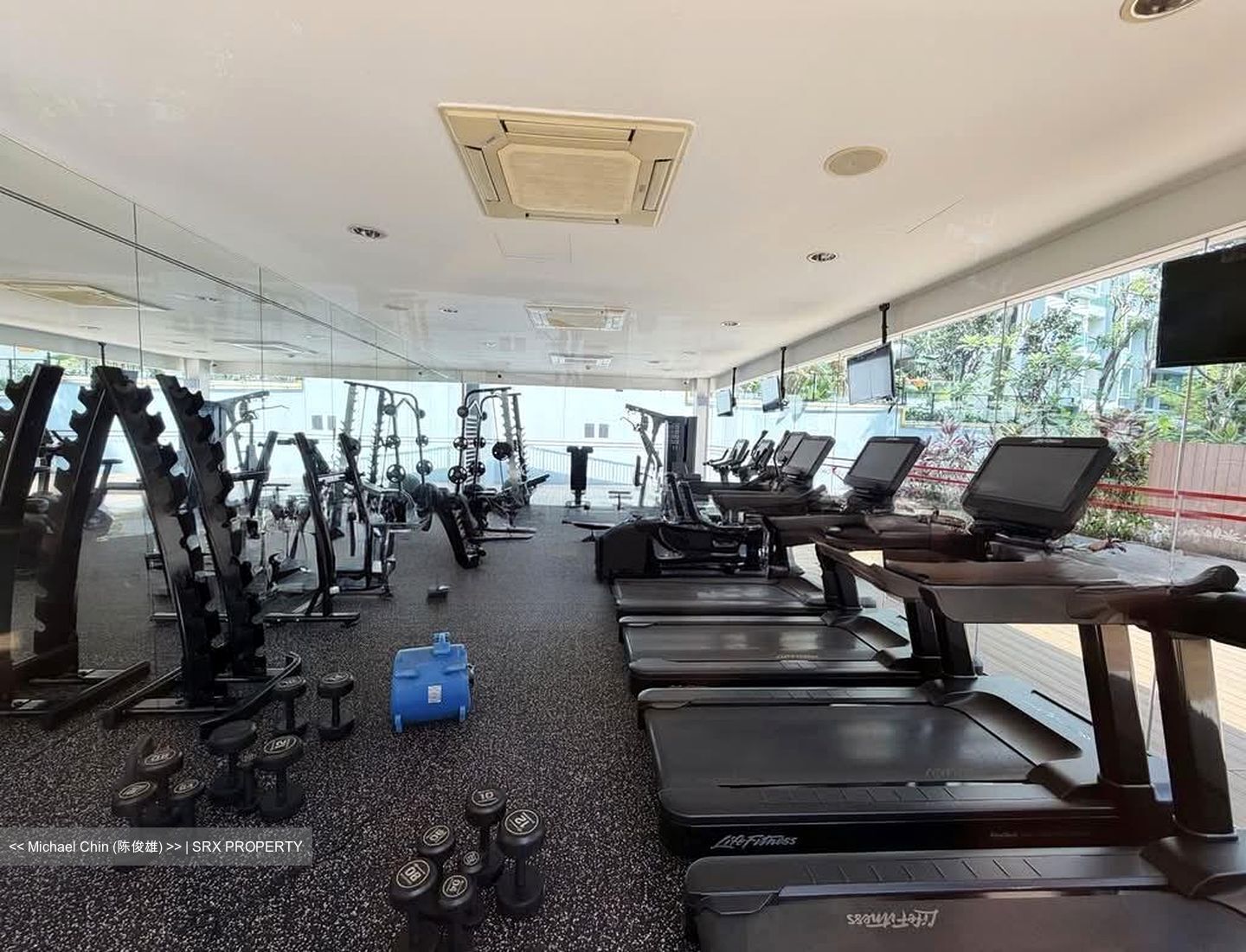 Botannia (D5), Condominium #578056061